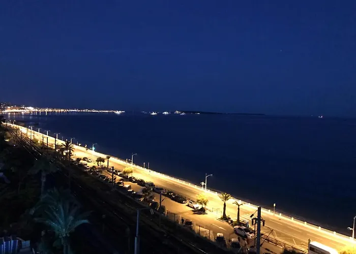 Residence La Palme D\'Azur - Cannes